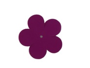 Moteriški diržai kirpti klijuotos raukšlėtos apdailos sagtys gamintojas didmeninė prekyba Lenkija